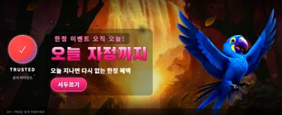 kcwin 지금 바로 승리를 잡으세요